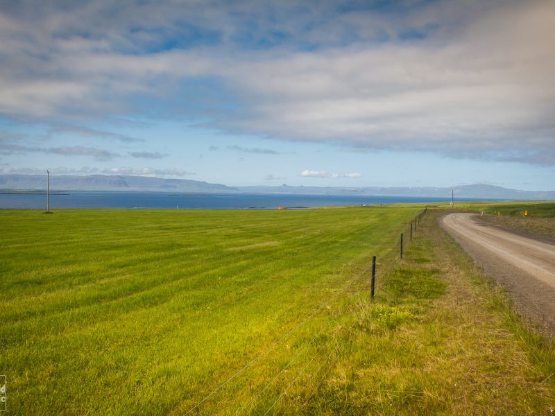 Wild Icelandic Lamb Blog - farm iceland Ytri-Fagridalur  sea view