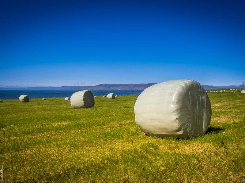 Wild Icelandic Lamb Blog - farm iceland Ytri-Fagridalur  hay bales