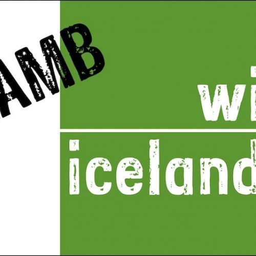 Wild Icelandic-Lamb-02 web