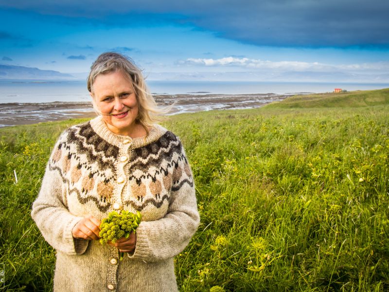 Wild Icelandic Lamb Blog - farm iceland Ytri-Fagridalur  Halla wild angelica