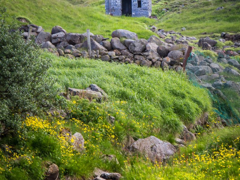 Wild Icelandic Lamb Blog - farm iceland Ytri-Fagridalur  pump house