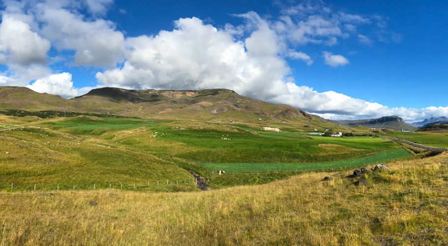 wild icelandic lamb-ReÌttir - Bjarteyjarsandur, HvalfjoÌˆrÃ°ur Iceland 2018-09-09-WI wm