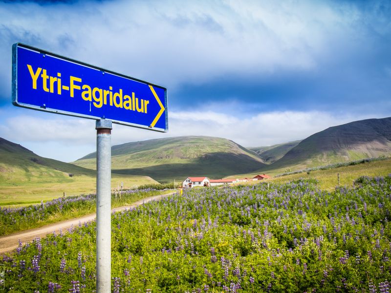 Wild Icelandic Lamb Blog - farm iceland Ytri-Fagridalur  sign