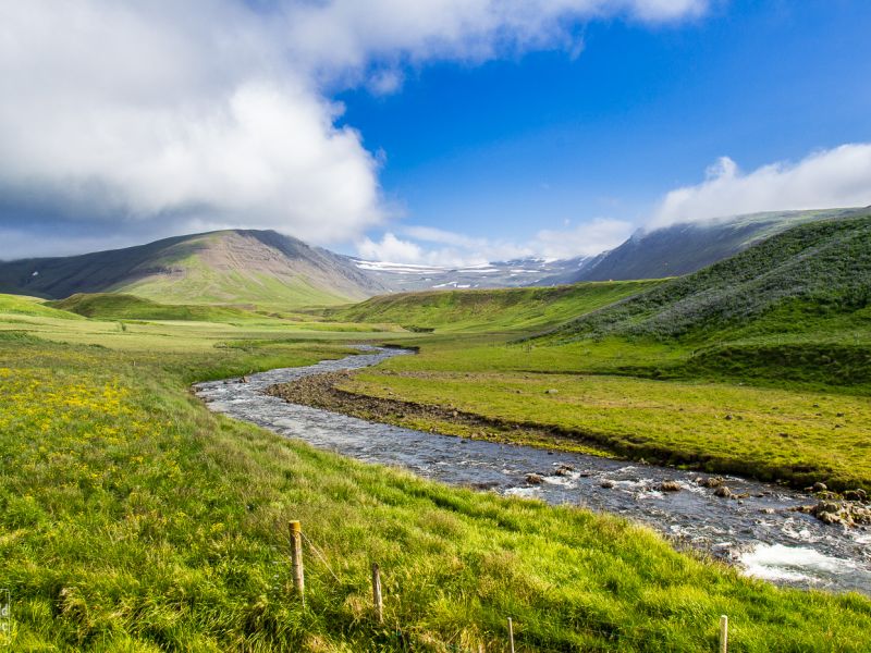 Wild Icelandic Lamb Blog - farm iceland Ytri-Fagridalur  stream