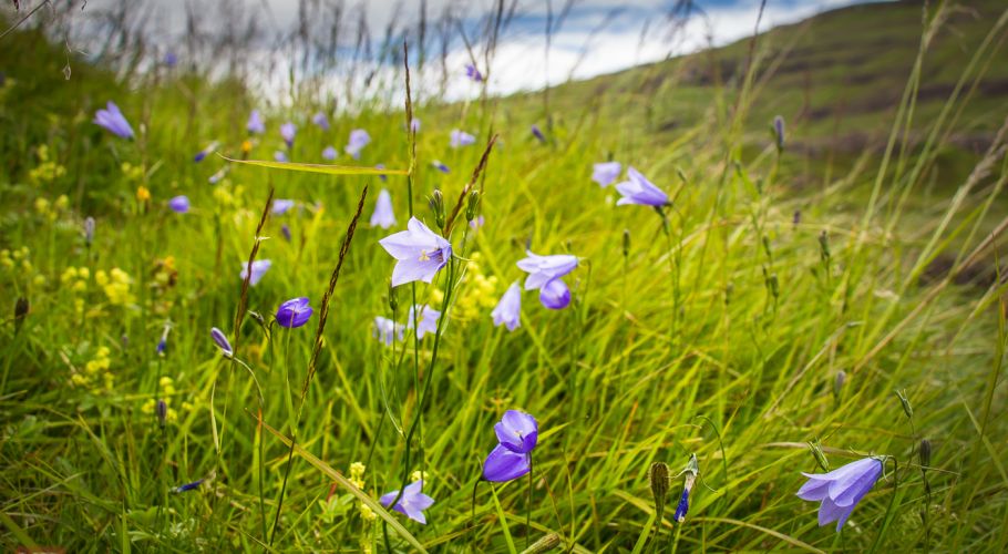 upstate pictures-SeyÃ°isfjoÌˆrÃ°ur,Iceland.-4727